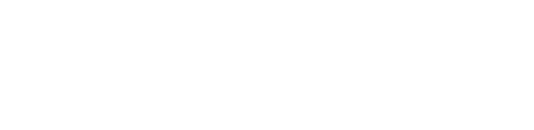 Logo Höller Solutions