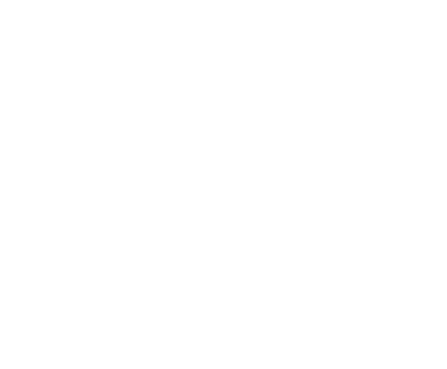 Logo Poolsystem Schindlecker
